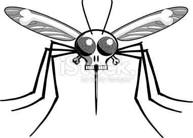 Deaths Head Mosquito